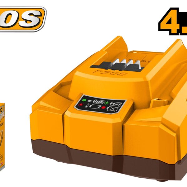 Chargeur de batterie P20S